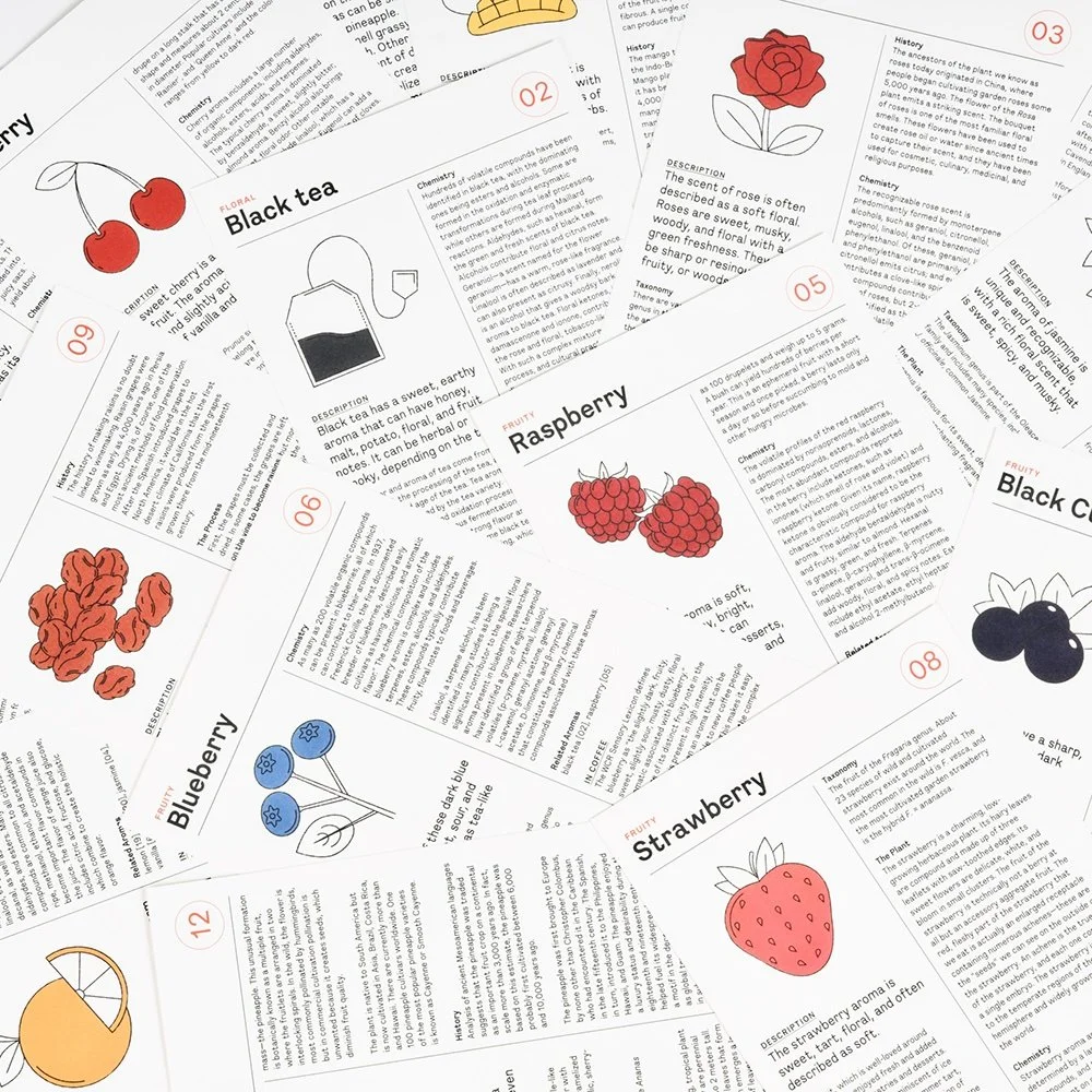 NEW! LE NEZ DU CAFE 2.0 - UPDATED 60 AROMA COFFEE KIT — ROCC